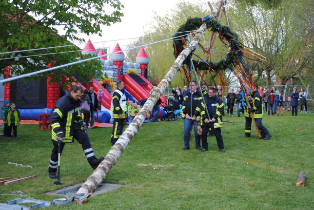 30.04.2015 -  Feuerwehr Hasbergen setzt Maibaum