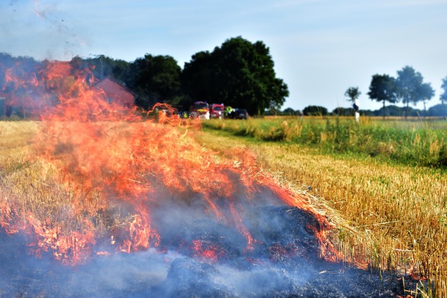 11.07.2015 - Kreisfeuerwehr beim Flächenbrand im Einsatz