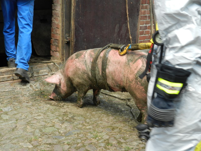 29.06.2015 - Technische Hilfeleistung zur Tierrettung aus Güllegruppe