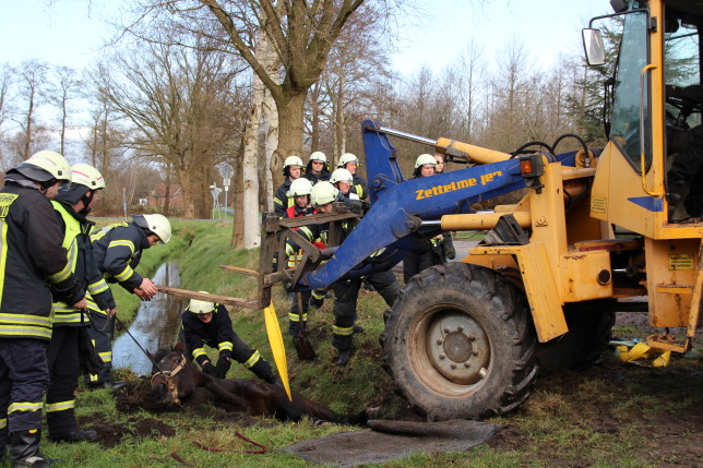 31.01.2016 - Großtierrettung in Strücklingen